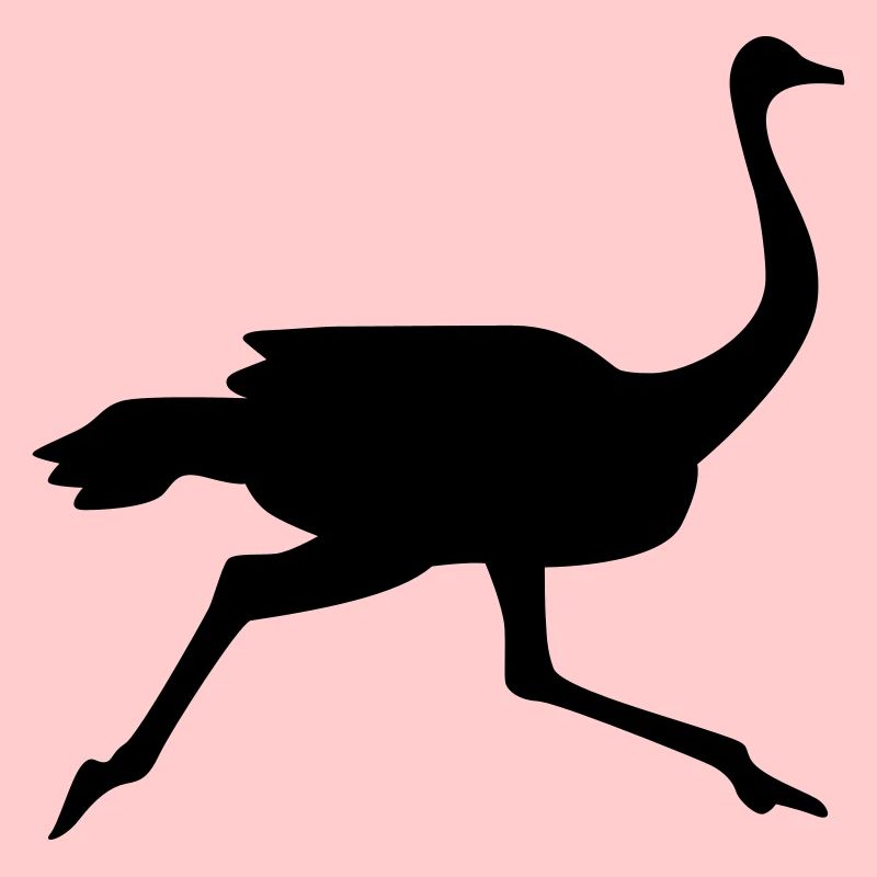 Ostrich