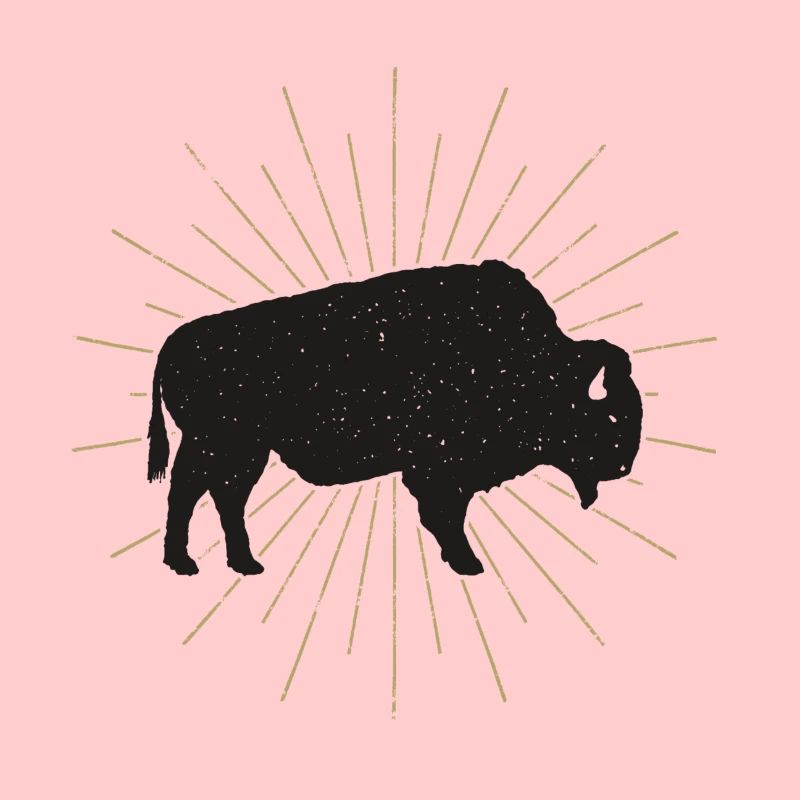 Bison