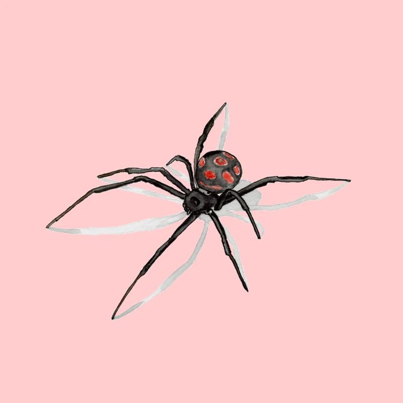 Spider with Shadow - Black Widow - Drawing