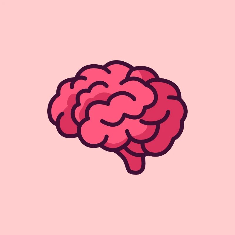 brain