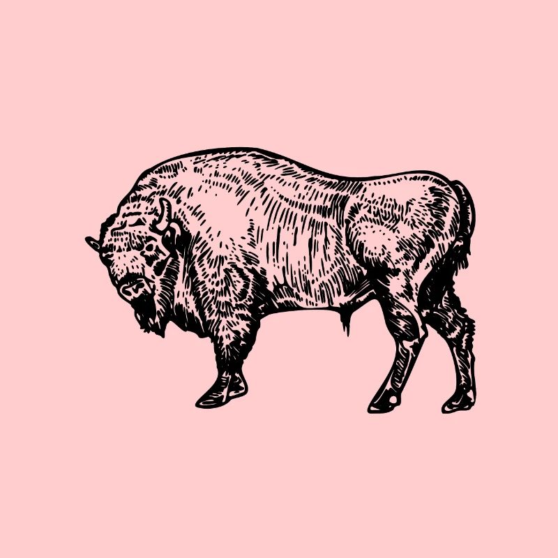 buffle