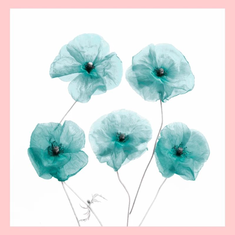Fleurs de pavot Vert Blanc