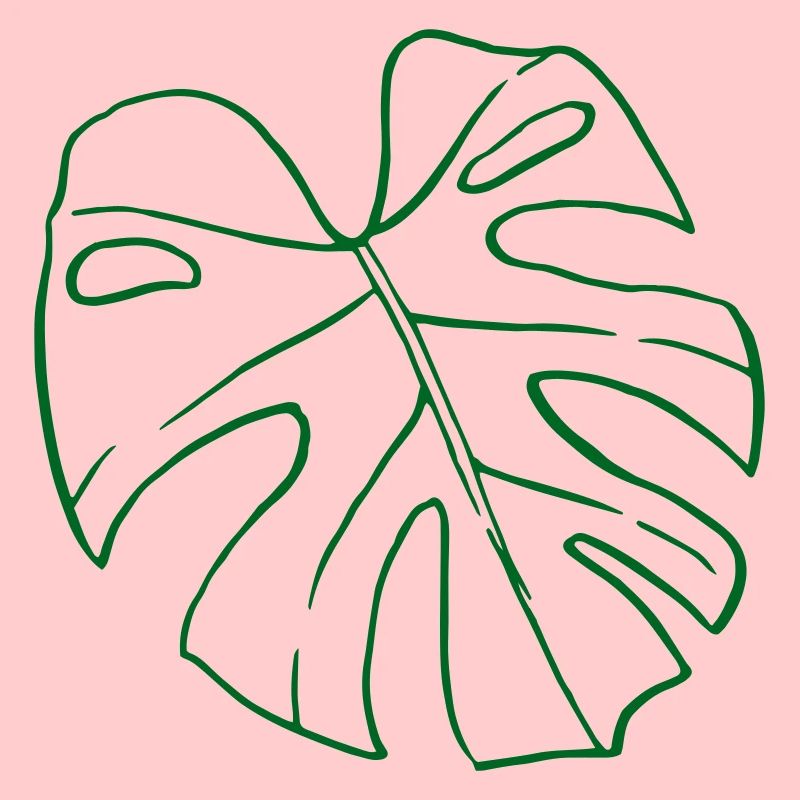 Monstera