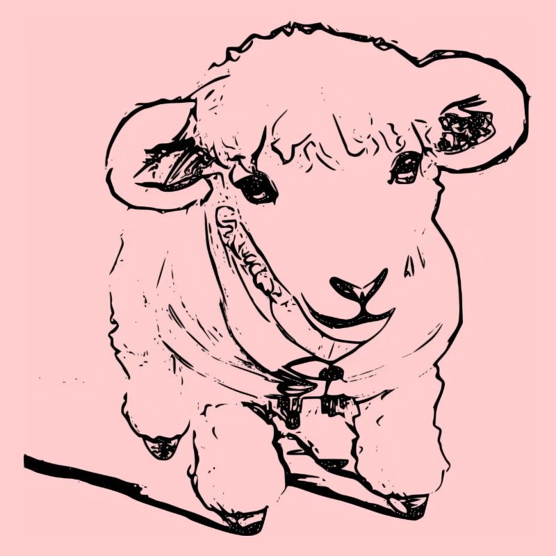 Lamb