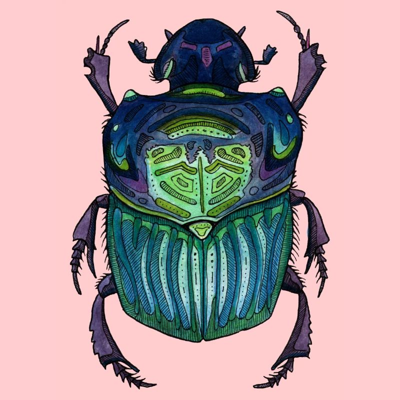 Big Beetle - Coléoptère géant