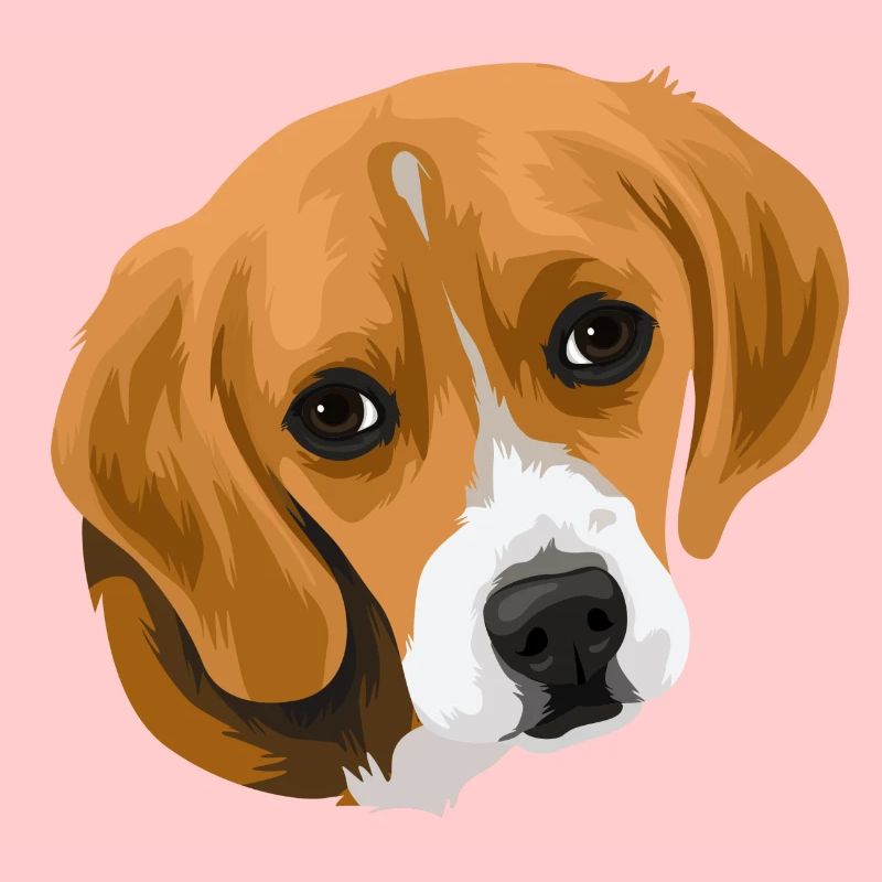 Beagle head_2