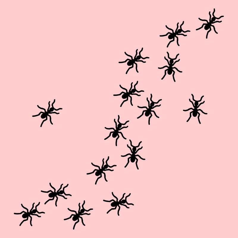 Ants