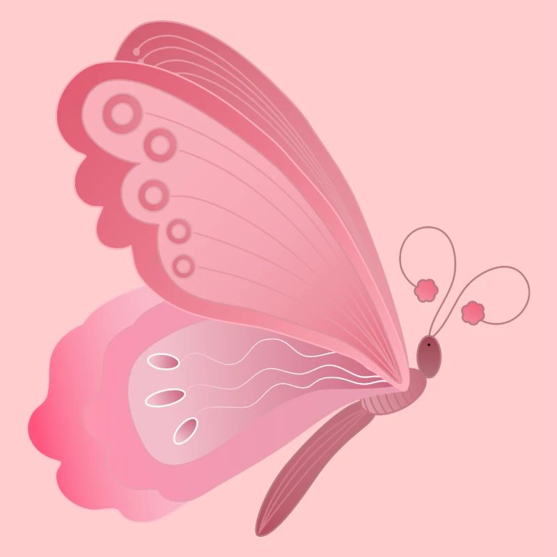 rosa Schmetterling