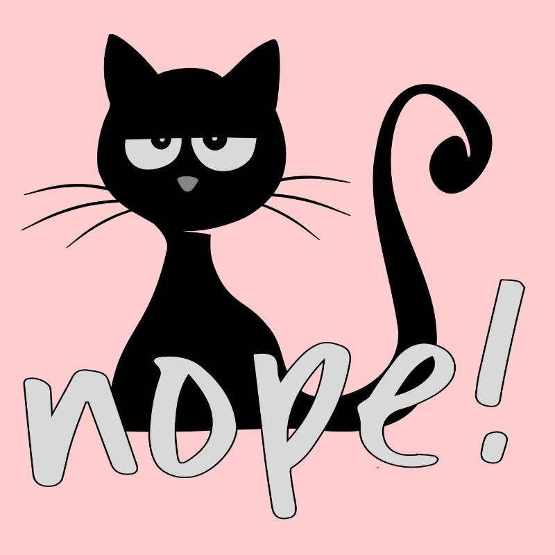 grumpy nope cat Nein Nö Katze Geschenk