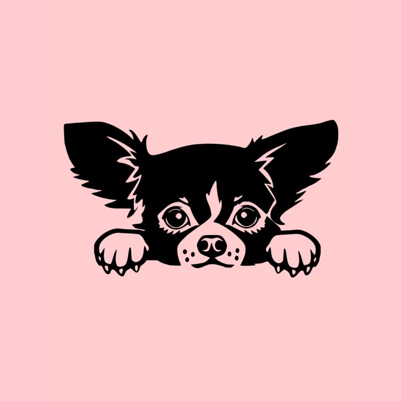 chiwawa