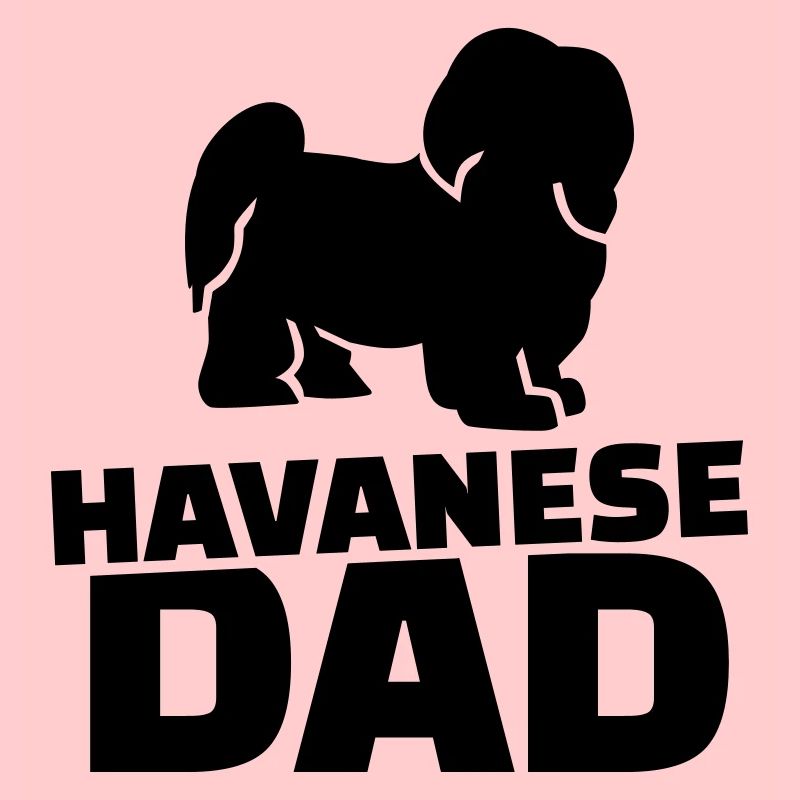 Havanese Dad