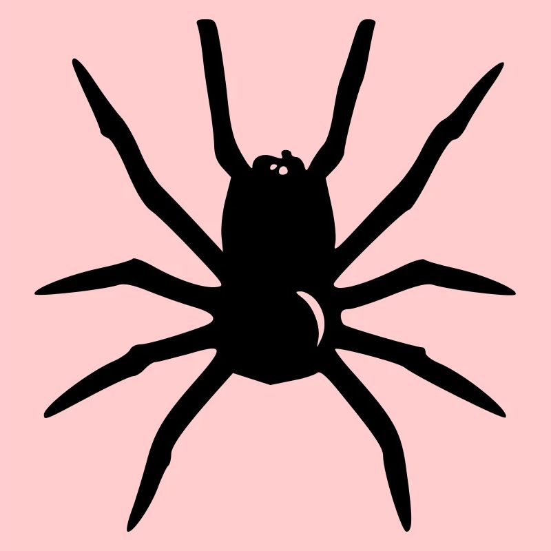Araignée