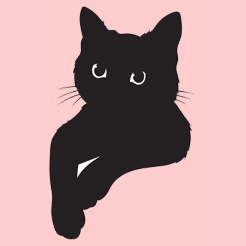 Pose de chat noir