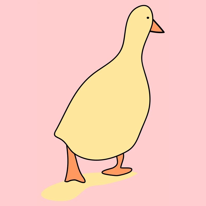 Duck bird 3