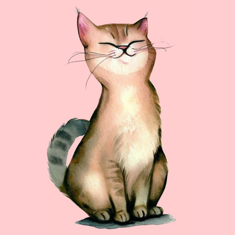 Chat fier de lui-même