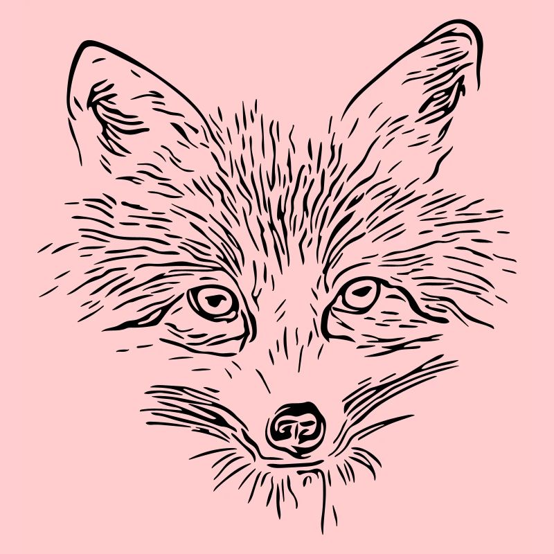 Visage de renard - Visage de renard