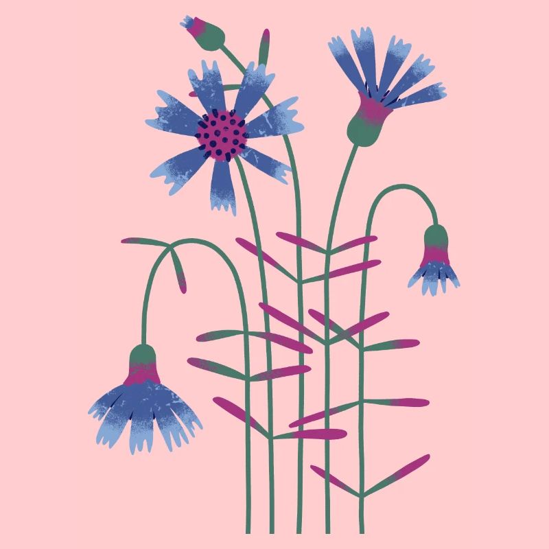 Bleuet