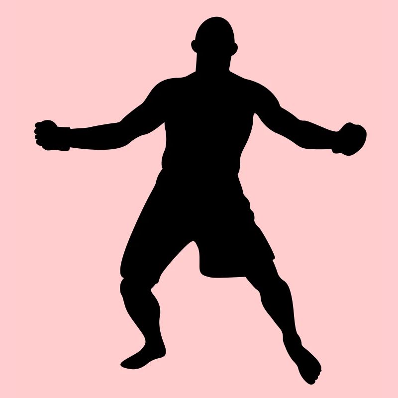 MMA N ° 7
