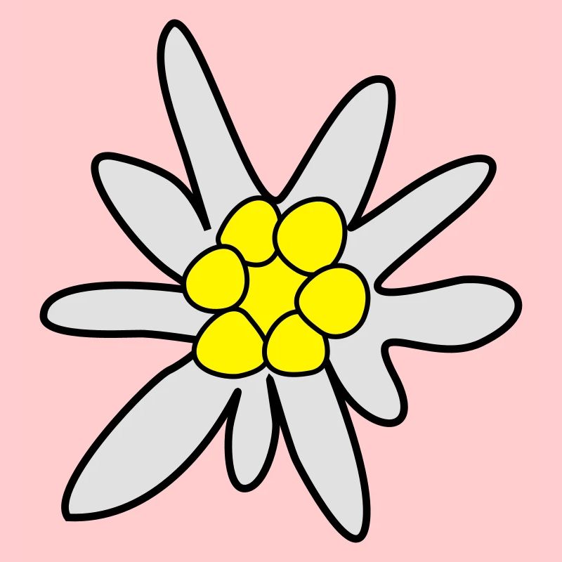 Edelweiss