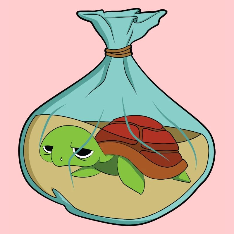 Turtle Climate Change Pollution