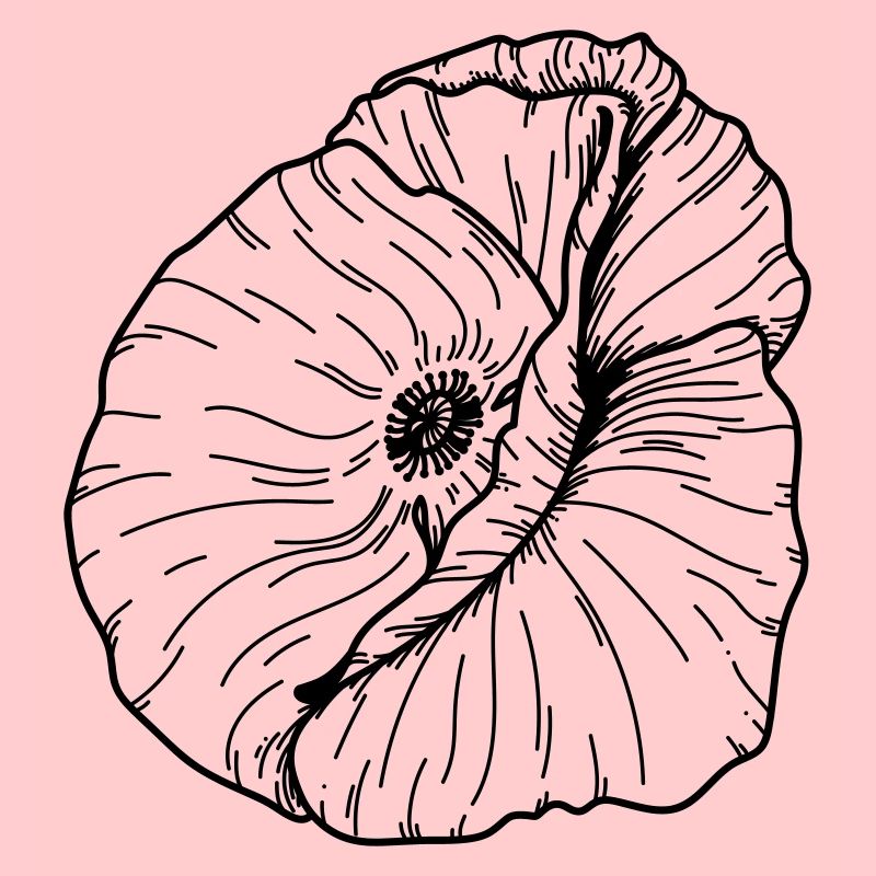 Fleur de coquelicot 20 Plan de travail 12