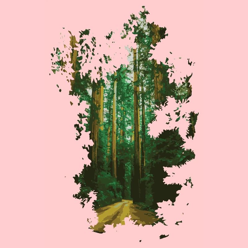 Forêt