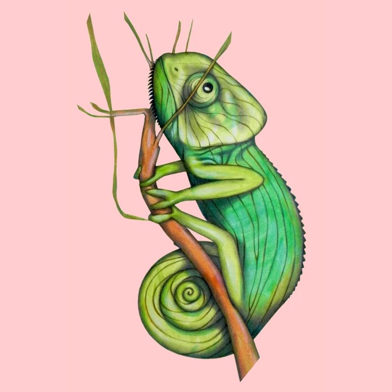 caméléon vert