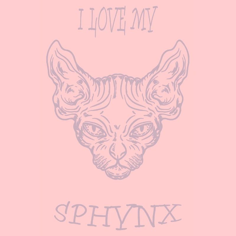 Chat nu Sphynx chat