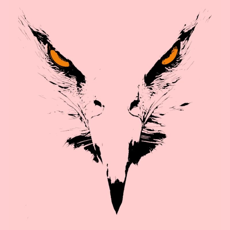 Eagle face. Eagle portrait. eagle head