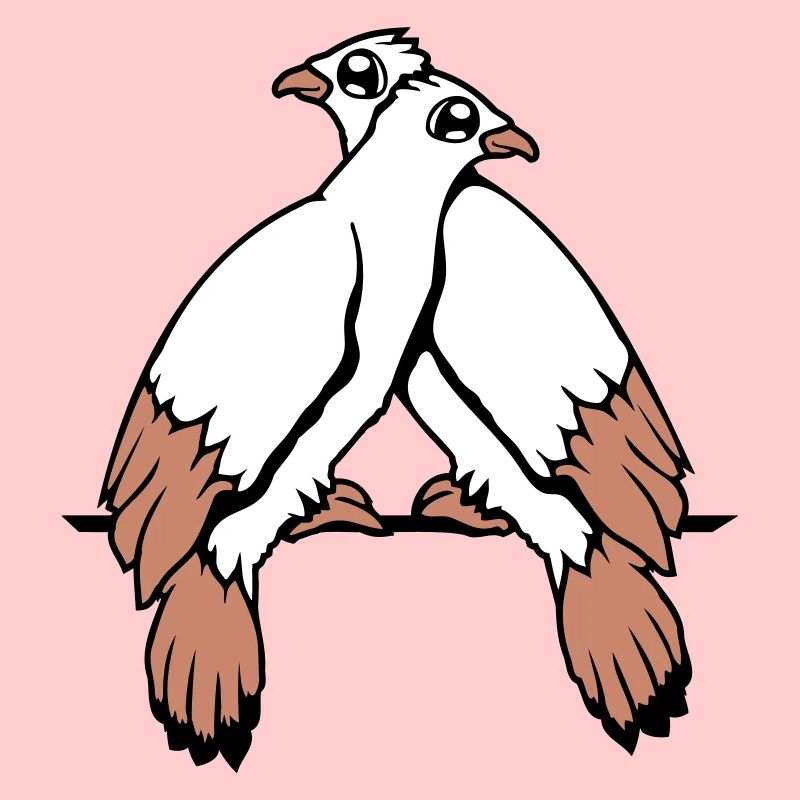 2 colombes oiseaux deux amis sat paire de câbles