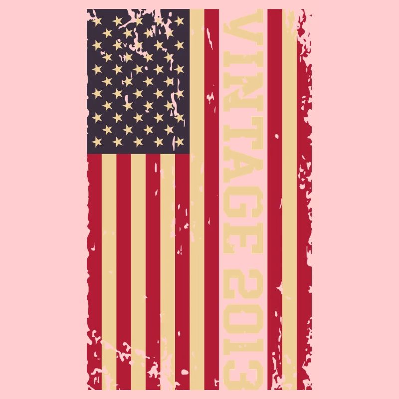 Vintage 2013 US Flag