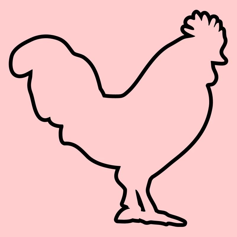 conception de poulet