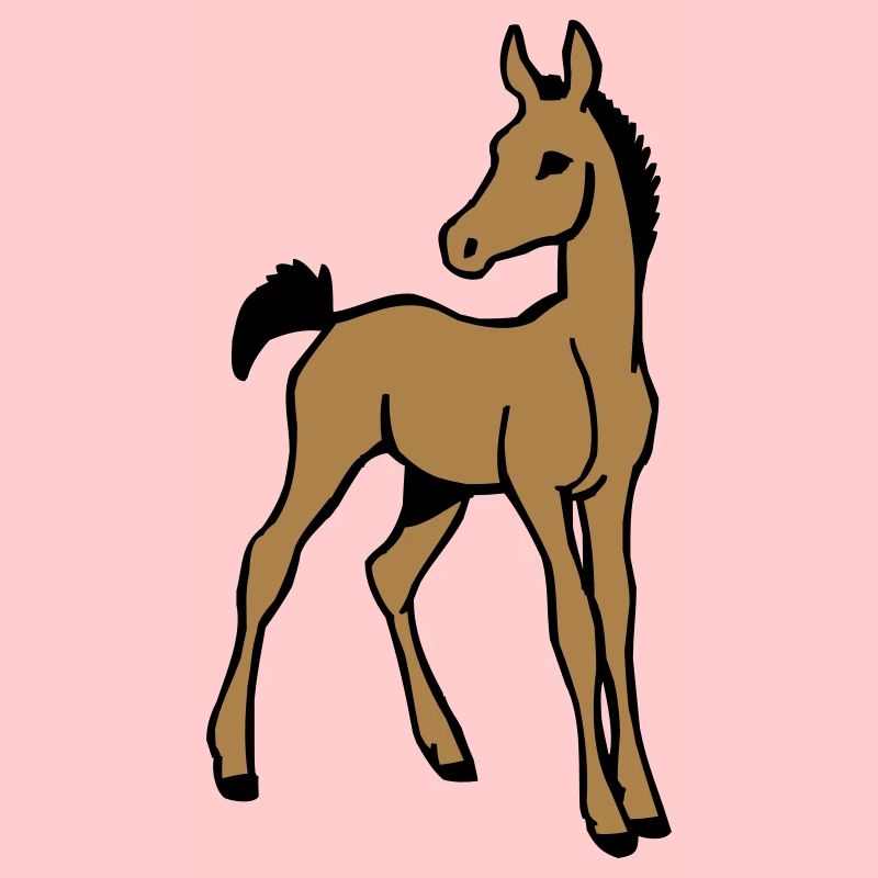 Fohlen