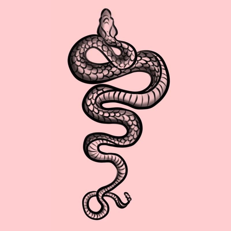 Black snake