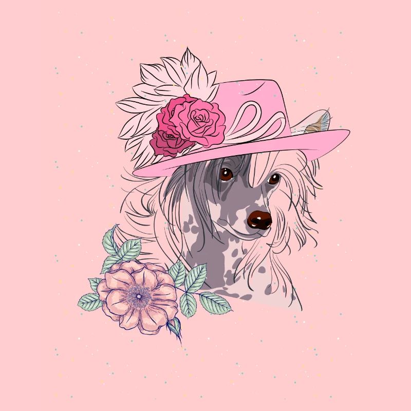 Chinese Crested mit Hut