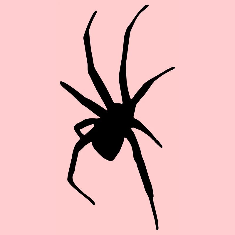 Spinne
