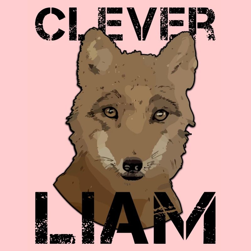 L’anniversaire de Liam Liam