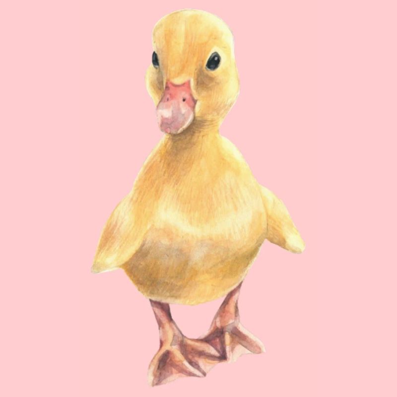 Poussin