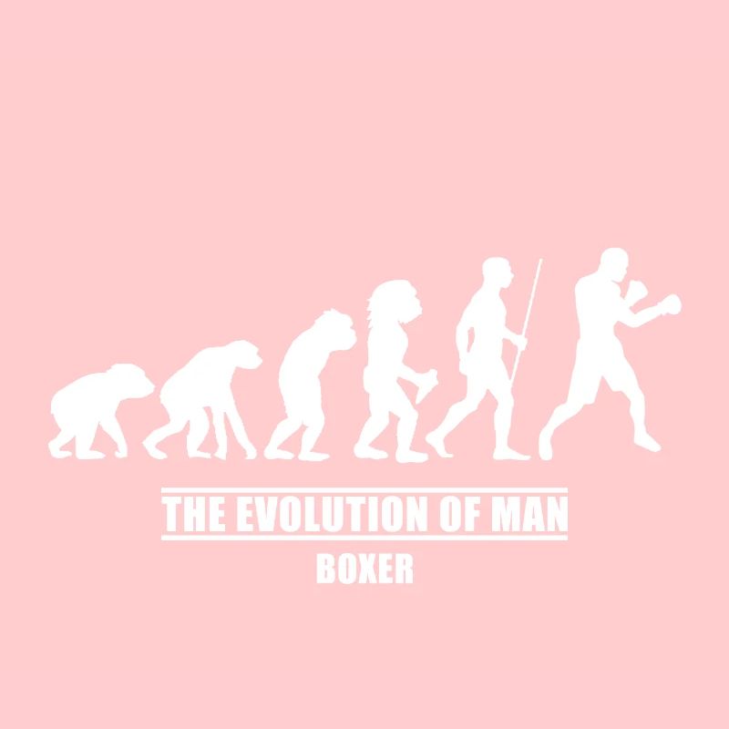 Boxer evolution shirt