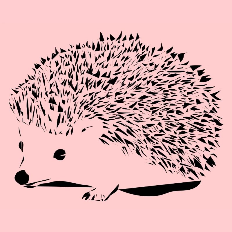 Schwarzer Igel