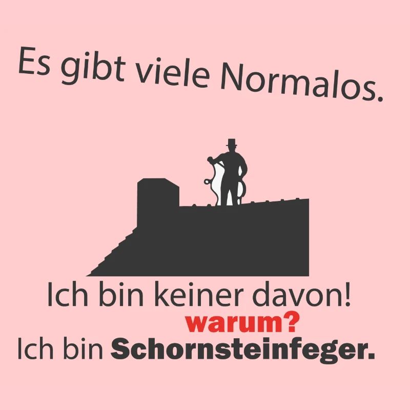 Schornsteinfeger