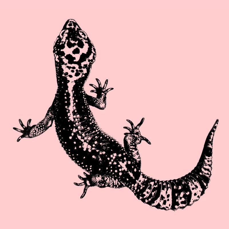 Leopardgecko / Gecko