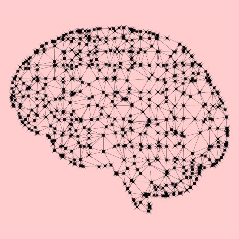 Brain
