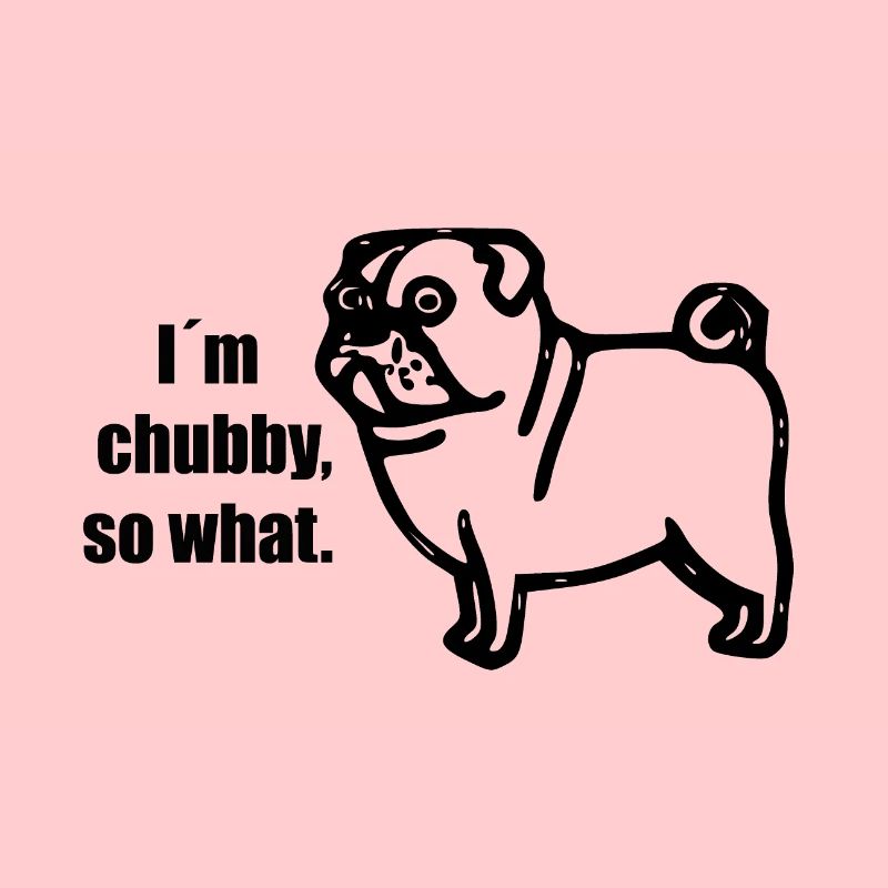 chubby pug - chubby pug