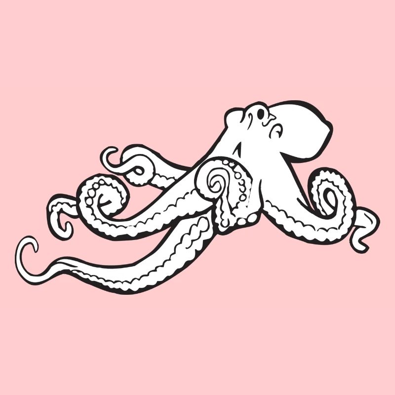 squid giant octopus octopus octopus squid sepia fish