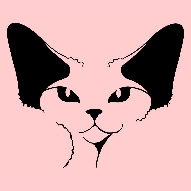 DEVON REX