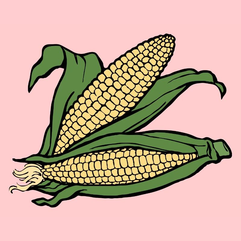 mais corn maize getreide veggie gemuese vegetables