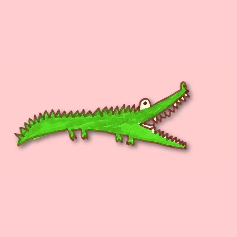 crocodile