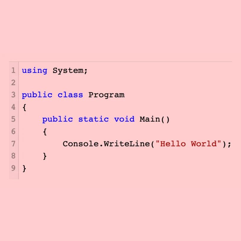 C # .NET kode Hello World Programmer Gift