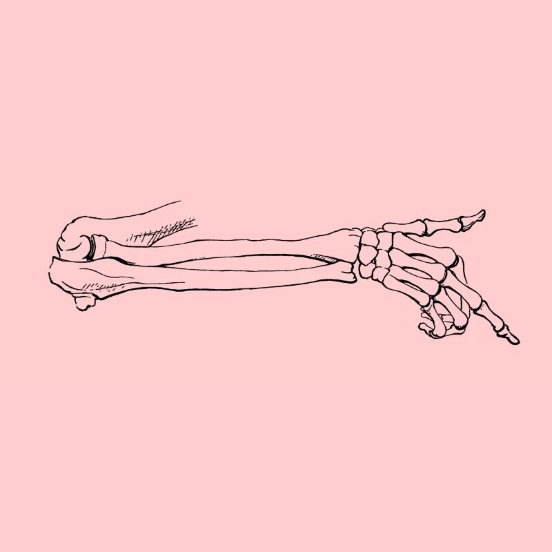 Skeleton hand